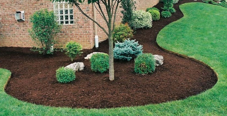 Flower Bed Renewal