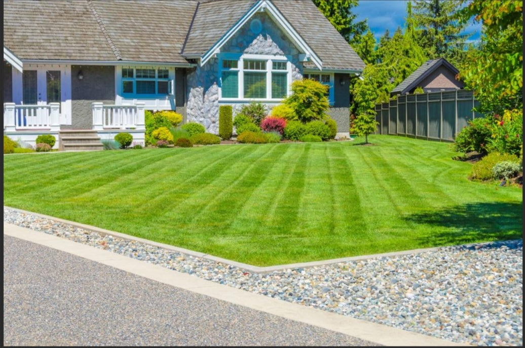 Lawn Service